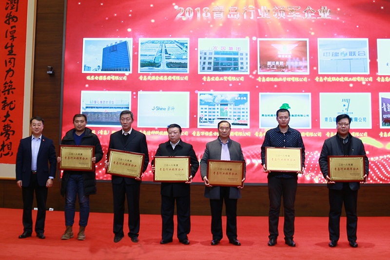 民營(yíng)企業(yè)高質(zhì)量發(fā)展，德才集團(tuán)再獲殊榮領(lǐng)跑民企(圖2)