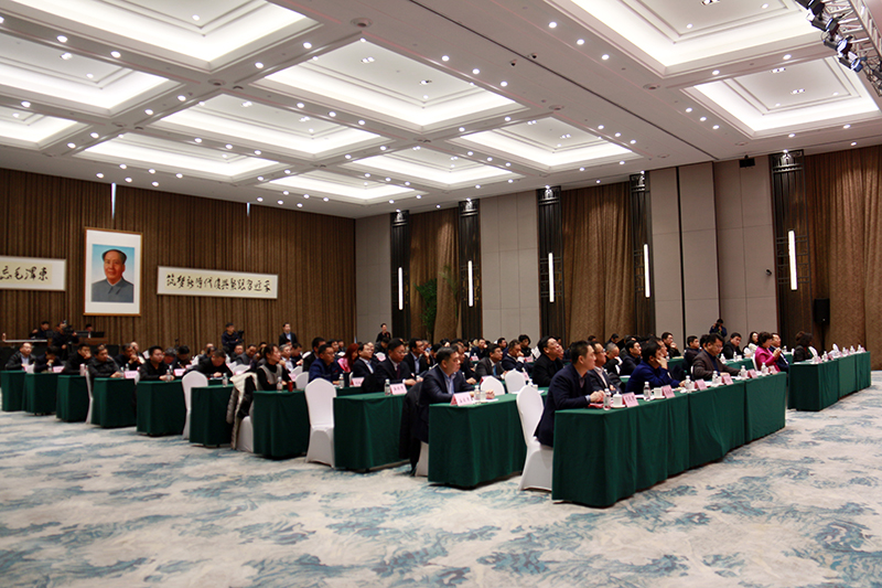 民營(yíng)企業(yè)高質(zhì)量發(fā)展，德才集團(tuán)再獲殊榮領(lǐng)跑民企(圖4)