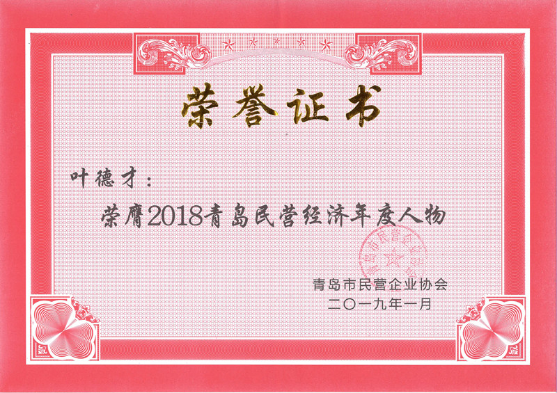 民營(yíng)企業(yè)高質(zhì)量發(fā)展，德才集團(tuán)再獲殊榮領(lǐng)跑民企(圖7)