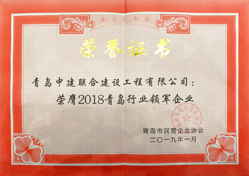 民營(yíng)企業(yè)高質(zhì)量發(fā)展，德才集團(tuán)再獲殊榮領(lǐng)跑民企(圖8)