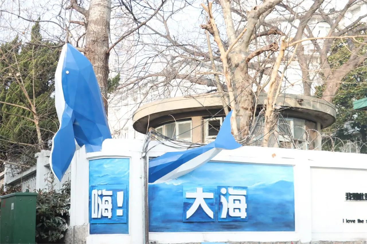 青島市城市更新和城市建設(shè)總指揮部對中建聯(lián)合市南區(qū)金湖路海洋特色街區(qū)項(xiàng)目開展觀摩(圖5)