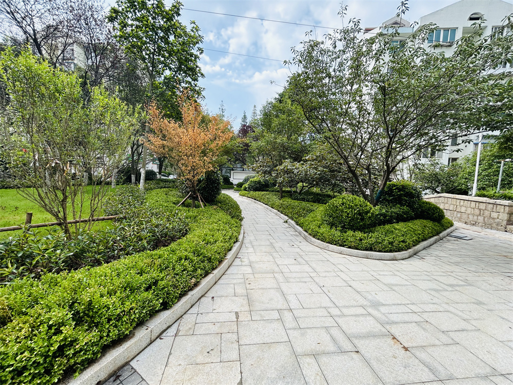 創(chuàng)新模式打造品質(zhì)社區(qū)——青島市永嘉路二片區(qū)老舊小區(qū)改造項目(圖12) 創(chuàng)新模式打造品質(zhì)社區(qū)——青島市永嘉路二片區(qū)老舊小區(qū)改造項目(圖12)